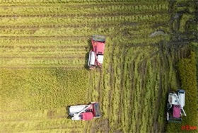 因地震暂停对外开放的珠峰景区重迎游客